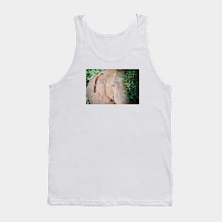 Elephant / Swiss Artwork Photography Tank Top